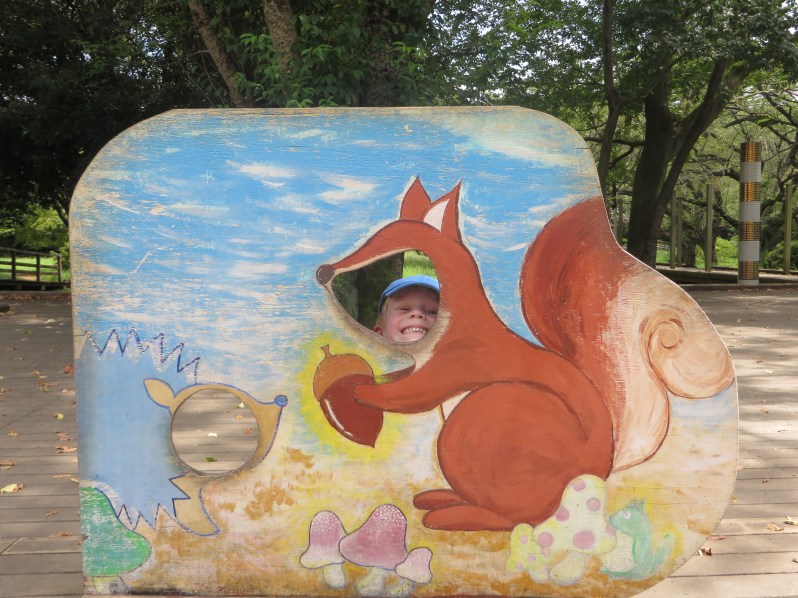 Little squirrel at Showa Kinen Park in Tachikawa in August.