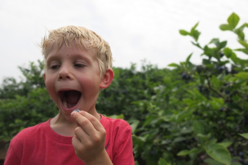 2E7A3CEC-C0F6-4F21-976D-3EEB667B75AD